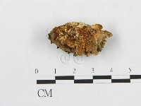 登錄號:F0009781藏品圖，第3張