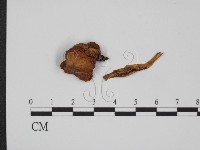 登錄號:F0009782藏品圖，第1張