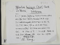 登錄號:F0009783藏品圖，第2張