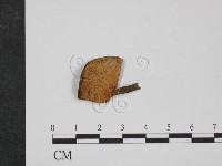 登錄號:F0009783藏品圖，第3張