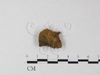 登錄號:F0009784藏品圖，第3張