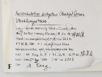 登錄號:F0009785藏品圖，第2張