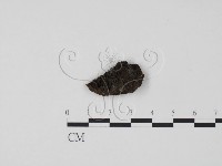 登錄號:F0009786藏品圖，第1張