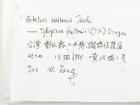 登錄號:F0009787藏品圖，第2張