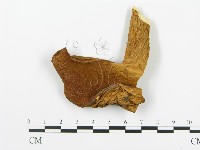 登錄號:F0009787藏品圖，第3張