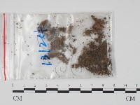 登錄號:F0009788藏品圖，第1張