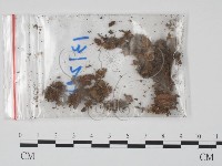 登錄號:F0009788藏品圖，第3張