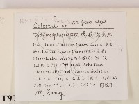 登錄號:F0009789藏品圖，第2張