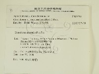 登錄號:F0009791藏品圖，第2張