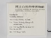 登錄號:F0009792藏品圖，第2張