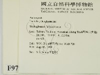 登錄號:F0009793藏品圖，第2張