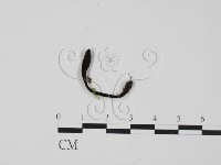 登錄號:F0009793藏品圖，第1張