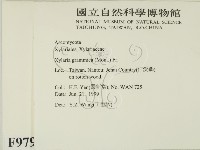 登錄號:F0009796藏品圖，第2張