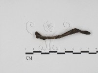 登錄號:F0009796藏品圖，第1張