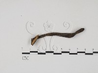 登錄號:F0009796藏品圖，第3張