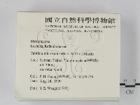 登錄號:F0009797藏品圖，第2張