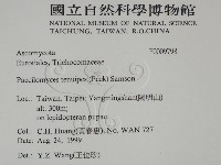 登錄號:F0009798藏品圖，第2張