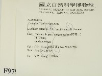 登錄號:F0009799藏品圖，第2張