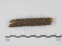 登錄號:F0009799藏品圖，第1張