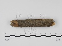 登錄號:F0009799藏品圖，第3張