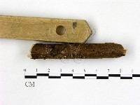 登錄號:F0009800藏品圖，第3張