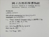 登錄號:F0009802藏品圖，第2張