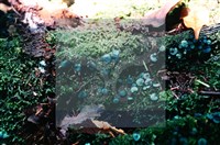 登錄號:F0009802藏品圖，第3張