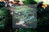 登錄號:F0009802藏品圖，第4張