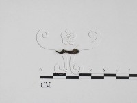 登錄號:F0009805藏品圖，第1張