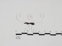 登錄號:F0009805藏品圖，第3張
