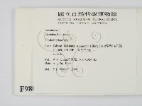 登錄號:F0009806藏品圖，第2張