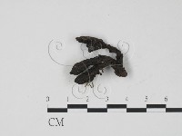 登錄號:F0009807藏品圖，第1張