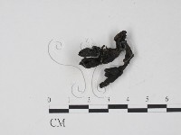 登錄號:F0009807藏品圖，第3張