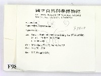 登錄號:F0009808藏品圖，第2張