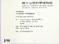 登錄號:F0009810藏品圖，第2張