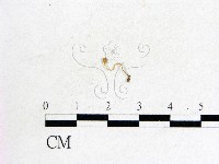 登錄號:F0009810藏品圖，第1張