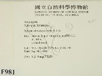 登錄號:F0009811藏品圖，第2張