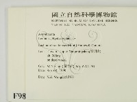 登錄號:F0009812藏品圖，第2張