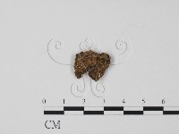 登錄號:F0009812藏品圖，第1張