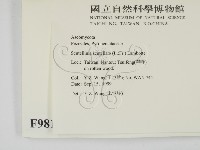 登錄號:F0009815藏品圖，第2張