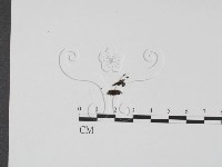 登錄號:F0009816藏品圖，第1張