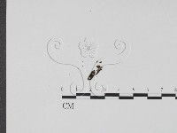 登錄號:F0009816藏品圖，第3張