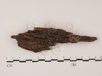 登錄號:F0009818藏品圖，第1張