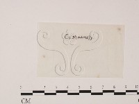 登錄號:F0009819藏品圖，第1張