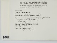 登錄號:F0009822藏品圖，第2張