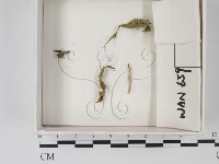 登錄號:F0009823藏品圖，第1張