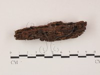 登錄號:F0009825藏品圖，第3張