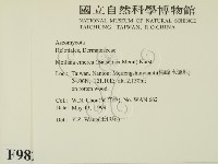 登錄號:F0009826藏品圖，第2張