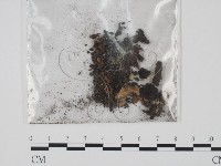 登錄號:F0009826藏品圖，第3張