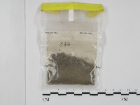 登錄號:F0009827藏品圖，第1張